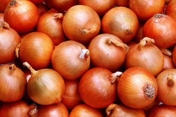 Кракен зеркало onion