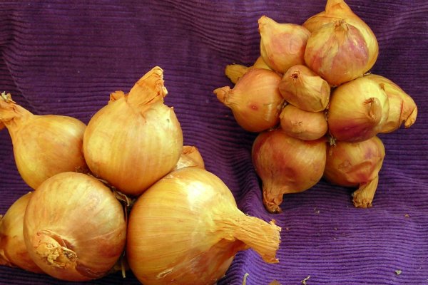 Какая сейчас ссылка на кракен