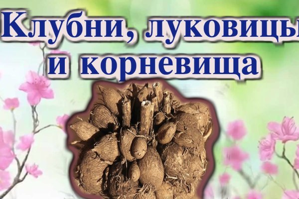 Как зарегаться в кракен
