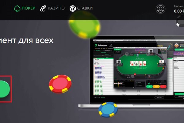 Как выводить деньги с кракена