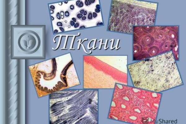 Кракен онион ссылка на тор