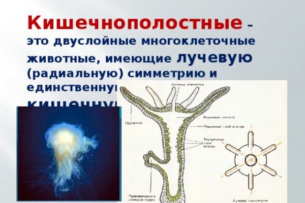 Кракен это что за сайт