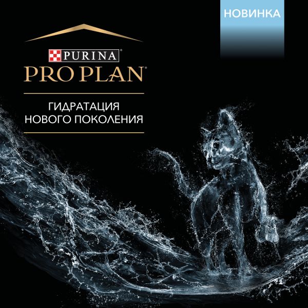 Кракен даркнет ссылка зеркало