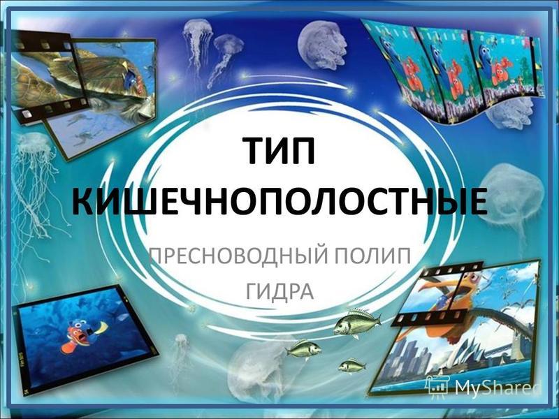 Кракен сайт как выглядит
